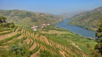 Rick Steves: Savoring the Scenery—and Port—of Portugal’s Douro Valley