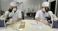 Kraig Labs Races to Scale Production as Billion-Dollar High-Performance Materials Market Starved for Scalable Supply Beckons