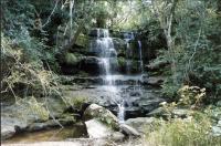 Into The Wild #3: Ybycuí National Park And The Ruins Of Paraguay’s Industrial Past