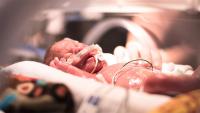 Newborn Sepsis Is Rare in Hungary, but Antibiotic Use Is Not