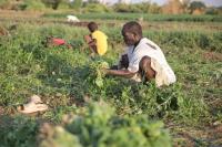 Sudan’s famine risk worsened by conflict, drought and funding shortages, report says