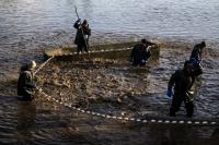 Hungary uses water from fish farming to revive drought-hit land
