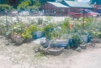 Library hosts gardening program