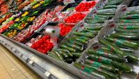 New EU Rules Could Threaten Vegetable Supply in Northern Norway