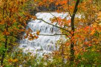 Lake Hartwell Country Highlights Best Places to See Fall Foliage in Upstate South Carolina