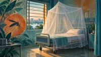 Bangladesh records 2,167 dengue hospitalisations and four deaths in a day