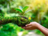 Tanzania eyes 41m US dollars in GEF-9 funding