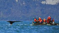 Hot Deals: Alaska and Canada journey, South Island tour, Bali holiday, Christmas markets, and Samoa stay