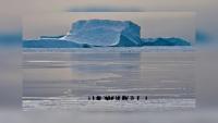 Antarctica is home to nearly 40,000 stranded icebergs that help stabilize sea ice against global warming
