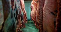 New beef import policy brings less volume than expected