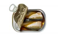 Analysis: Navigating the waters – why Princes calls for long-term sustainability in mackerel sourcing