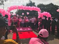 Media urged to intensify awareness campaigns on breast Cancer 