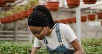 Farmer Field School launched to equip young Dominican farmers with practical skills