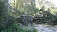 Florida National Guard Soldiers conduct road...