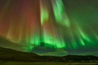 Scientists Shielded Fruit Flies From Earth’s Magnetic Field. Some Lived 20% Longer