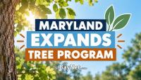Maryland’s Tree Program Now Supports More Than Just Planting Trees