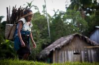 A fifth invasion? Organized crime and indigenous sovereignty in the Americas