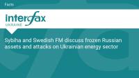 Sybiha and Swedish FM discuss frozen Russian assets and attacks on Ukrainian energy sector