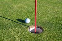 Local Sports Roundup: High School Playoffs Loom as Fall Sports Heat Up