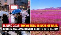 El Niño 2026: Tokyo Records 35 Days Of Rain As Chile’s Atacama Desert Bursts Into Bloom