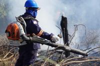 Building a stronger future on our own terms: Indigenous-led resilience and recovery
