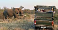 EDUCATION: FLCC tales of adventures abroad to be discussed Oct. 13