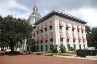 Florida's New License Carries 1845 Slave-Era Motto, Lawmaker Calls It Tone-Deaf
