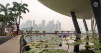 Haze update Oct 12: Singapore's 24-hour PSI forecast to stay in unhealthy range