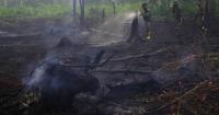 'We send oxygen too': Indonesian official responds to concerns of Singapore, Malaysia over haze