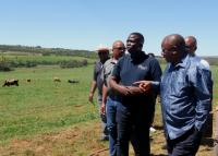 Cyril Ramaphosa | SA’s food supply rests on white farmers – and it can’t last
