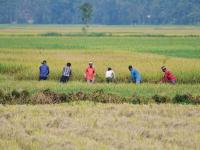 India’s September retail inflation rises to 5.5%; FY27 CPI seen at 5-5.2%: Report