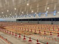 Private investor to open local poultry processing plant soon – President announces