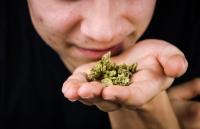Revenue down, demand rising for IL cannabis