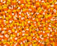 Illinois Families Spend a Surprising Amount on Halloween Candy