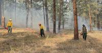 Oregon's $10M forest plan shields communities from wildfires