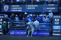 New York Mavericks returning this weekend for three-day bull riding homestand at UBS Arena