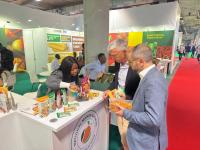 GEXPO 2026 to connect 500 Ghanaian businesses to global buyers  
