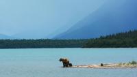 Alaska Cruisetours: The Hybrid Journeys That Reach Denali, Glacier Bay and More in One Trip