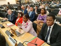 After Cameroon’s Geneva appeal: how a funding shortfall is testing refugee solidarity
