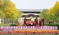 Global delegates eye new wine industry landscape at China’s top wine base