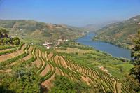 Rick Steves: Savoring the scenery — and port — of Portugal’s Douro Valley