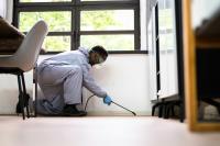 Eco-Friendly Pest Control: How Sustainable Methods Save Money and Protect Your Home’s Environment