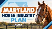 Maryland Horse Industry Plan Calls For Workforce Training, Tourism And Animal Welfare Initiatives