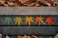 Is fall New Jersey’s favorite season?