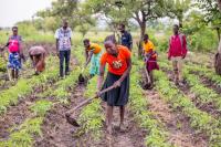 Why every farmer in Eswatini should Keep financial records