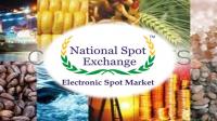 NSEL Scam: 5,682 Investors Set to Get ₹1,950 Crore as Court Clears Monetisation of Assets Attached by ED