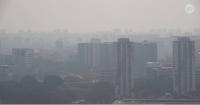 Public transport operators making N95 masks available to workers