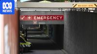 Tasmania's EDs taking the hit for health system failure, report finds