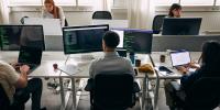 One chart shows white-collar biz is thriving even as jobs dry up