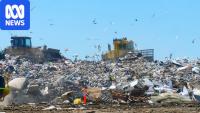 Traders blindly sending billions in profits to the tip with their food waste